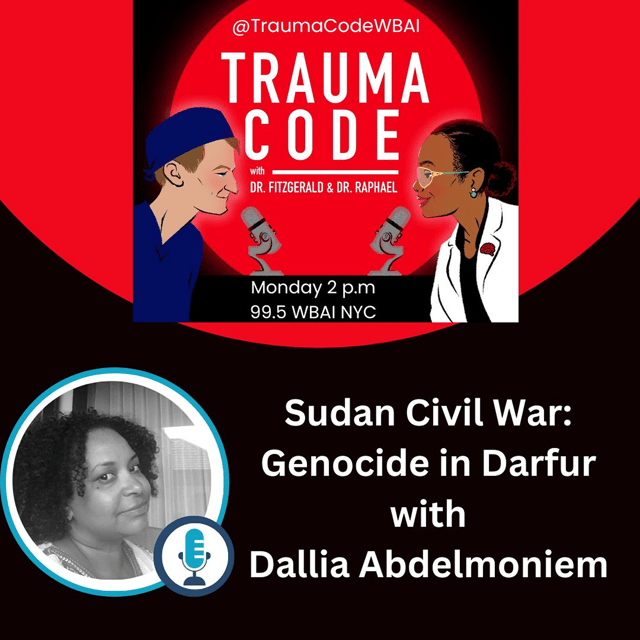 Sudan Civil War & Genocide in Darfur with Dallia Abdelmoniem image