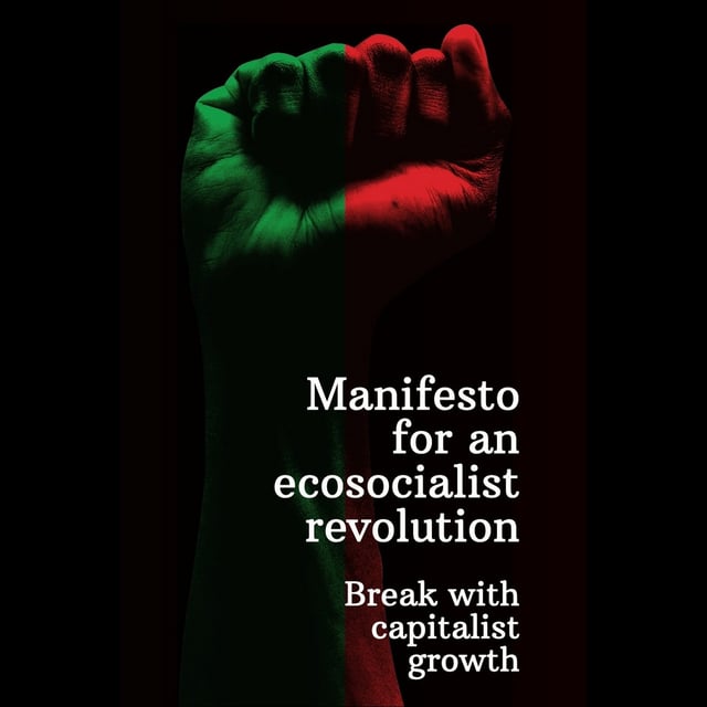 Manifesto for an Ecosocialist Revolution - Break with Capitalist Growth image