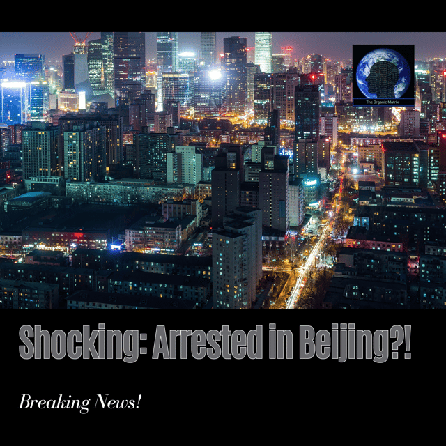 Arrested in Beijing!?! image