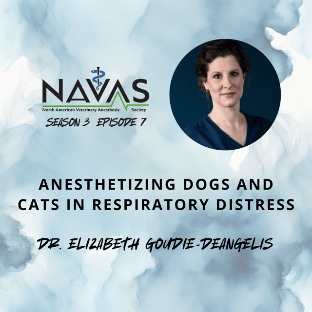 Dr. Elizabeth Goudie-DeAngelis - The Ins and Outs of Anesthetizing Dogs and Cats in Respiratory Distress image