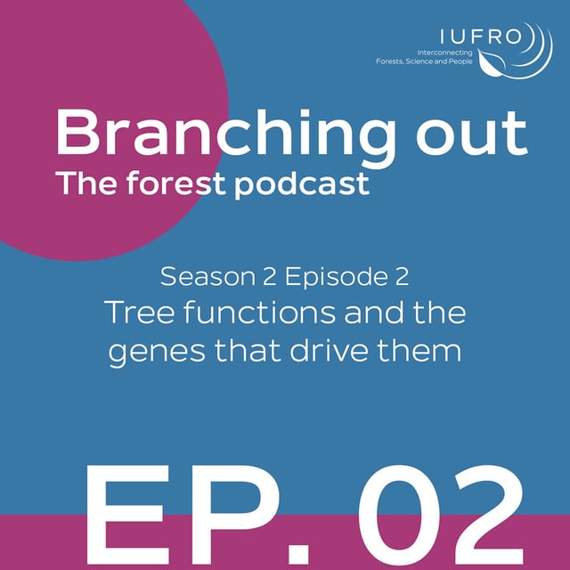 Episode 2: Tree functions and the genes that drive them image