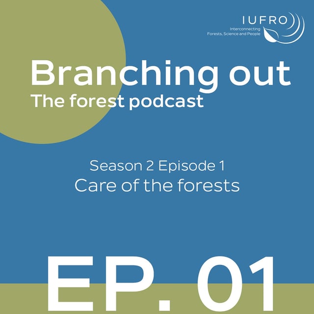 Episode 1: Care of the forests image