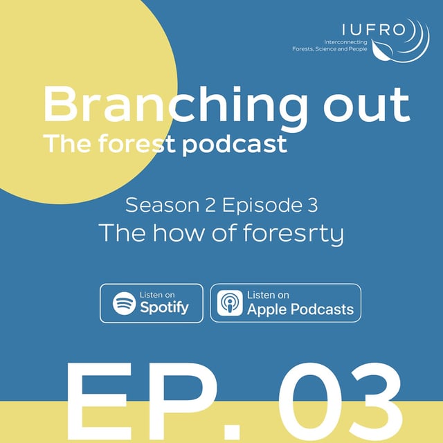 Episode 3: The how of forestry image