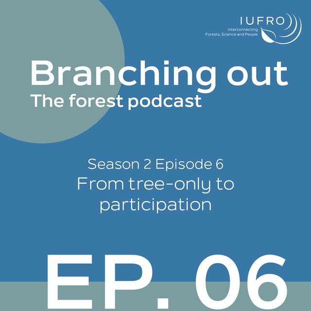 Episode 6: From tree-only to participation  image