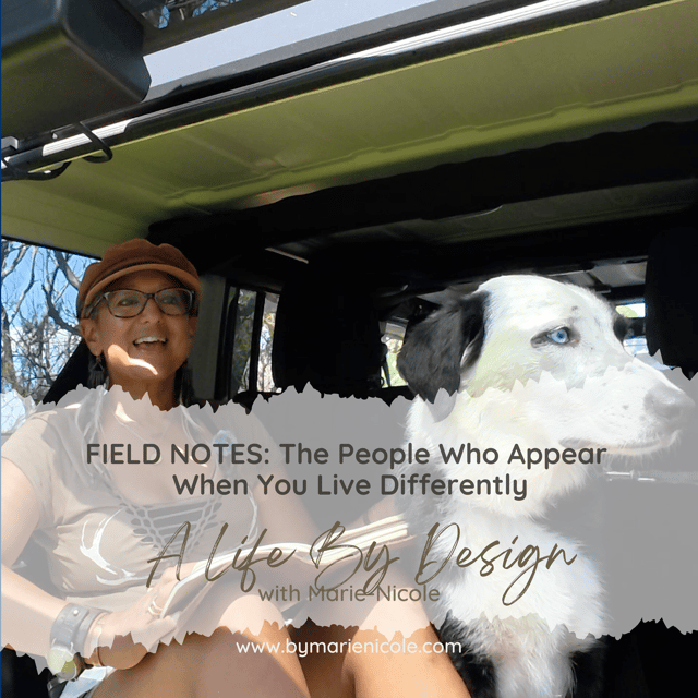 Field Notes: The People Who Appear When You Live Differently  image