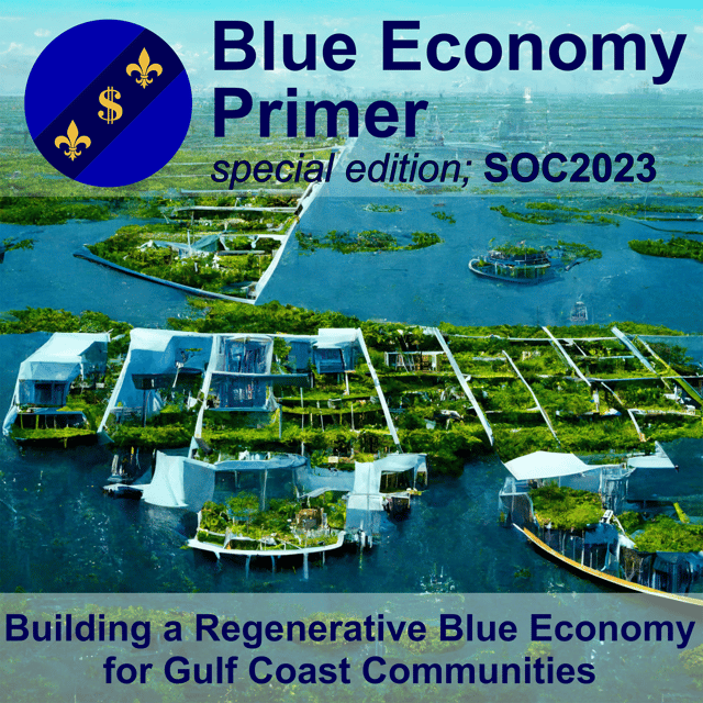 SE - Building Resilient Communities and a Regenerative Blue Economy for our Gulf Coast image