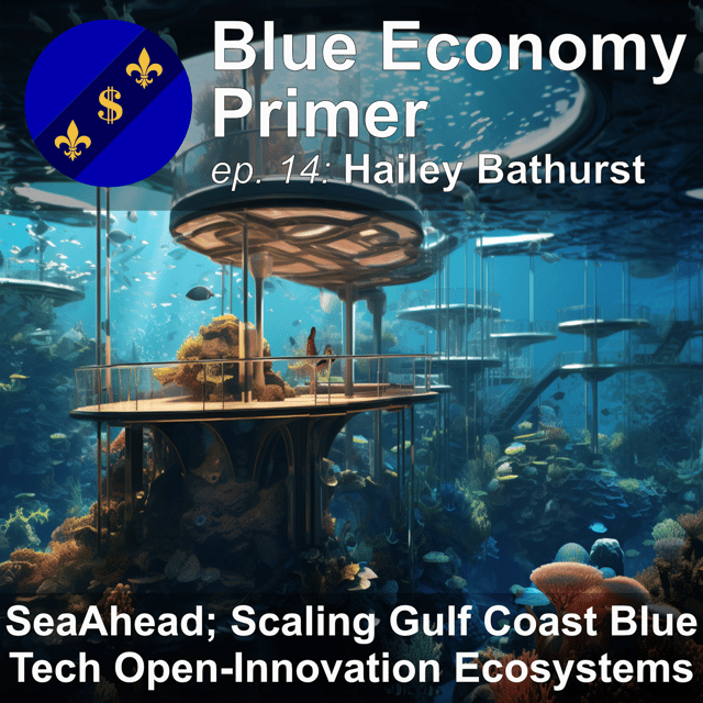 #14 - SeaAhead; Scaling BlueTech Open-Innovation Ecosystems on the Gulf Coast image