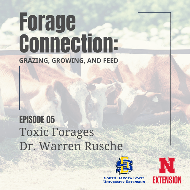 Toxic Forages: Dr. Warren Rusche image