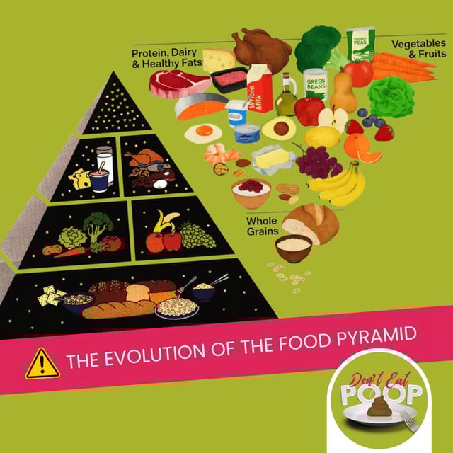 A Look Into the Evolution of the U.S. Food Pyramid | Episode 151 image