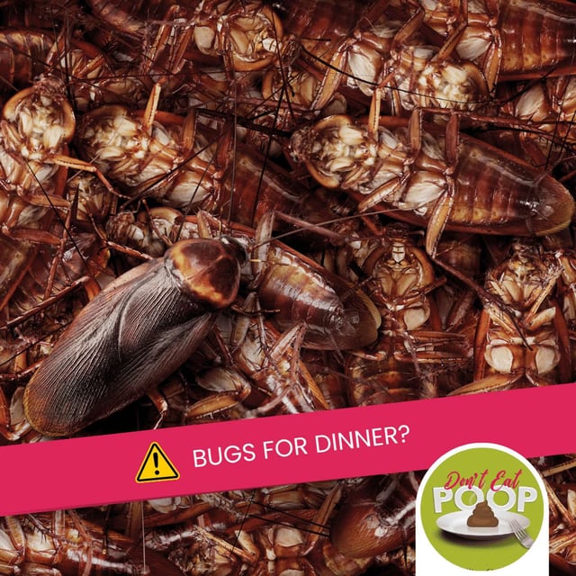 Insects & Lab-Grown Meat: The Future of Food Safety Compliance | Episode 160 image