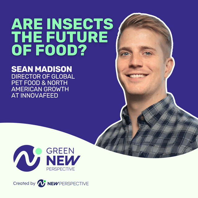Are Insects The Future Of Food? Podcast With Innovafeed image