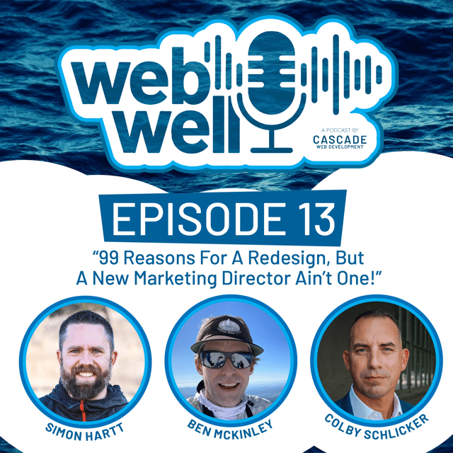 The WebWell Podcast, Episode 13 - "99 Reasons For A Redesign But A New Marketing Director Ain't One" image