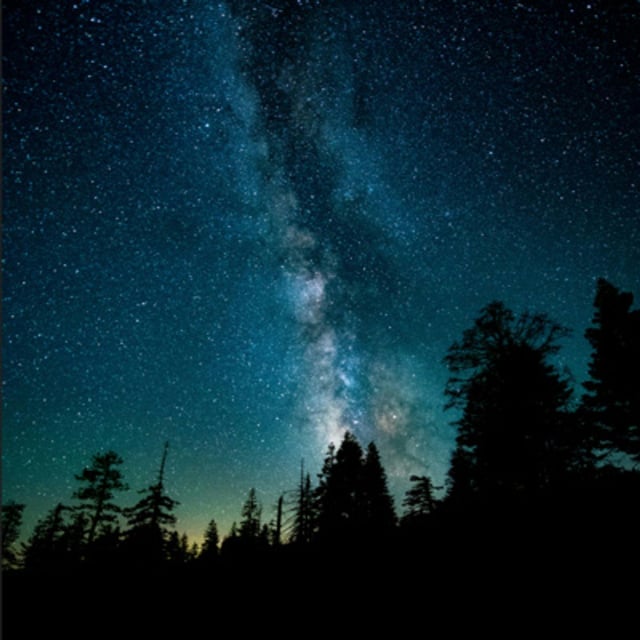 Crickets Night: 8-Hour Serene Nighttime Soundscape for Blissful Sleepiness image