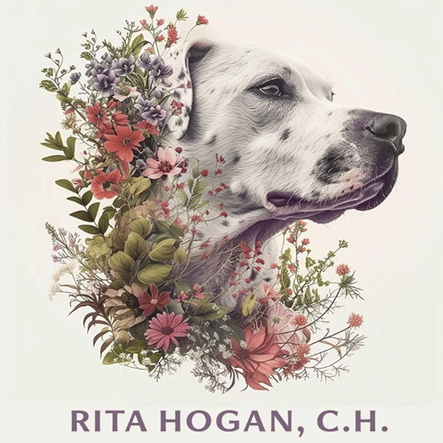 Natures Pharmacy: How Herbalism Benefits both Dogs and Their Owners image