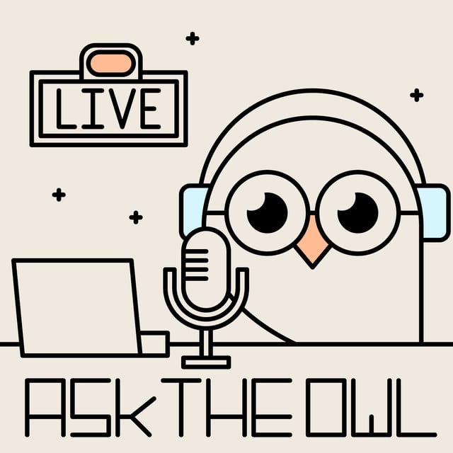 Ask the Owl Ep 1: What is Blockchain for? image