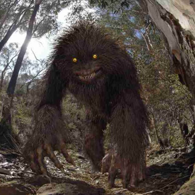 E235: The Yowie, Australia's Hairy & Scary Humanoid image