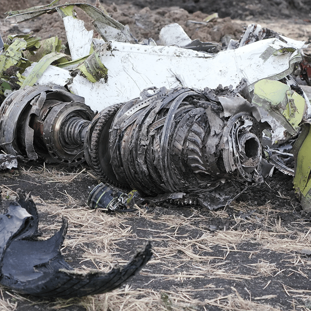 Boeing 737 MAX image