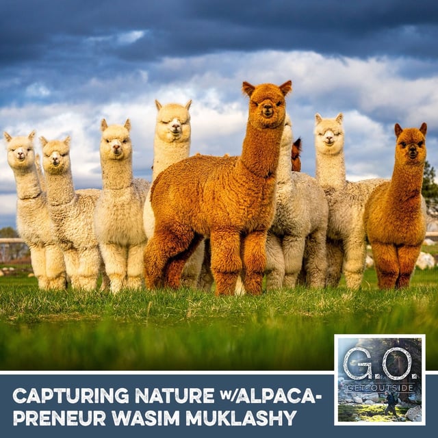 GO 124 - Capturing Nature With Alpacapreneur Wasim Muklashy image