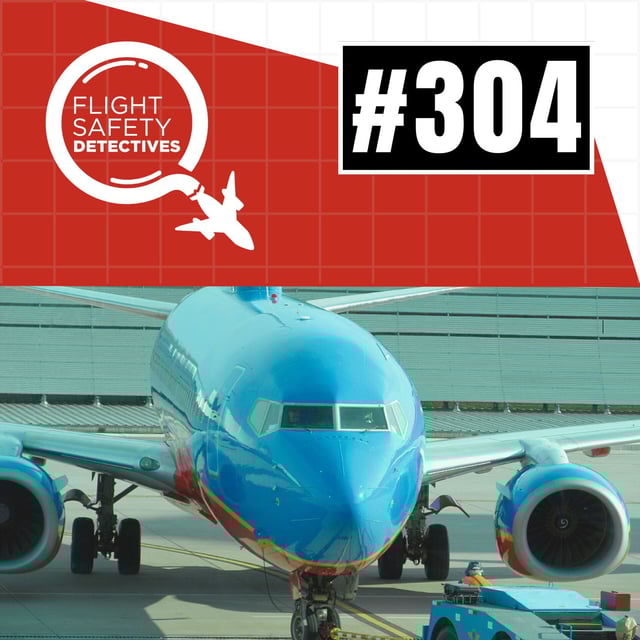 Digging Into the Data on Aviation Risks - Episode 304 image