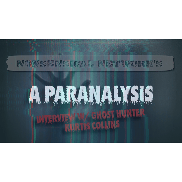 Nonsensical Network's Paranalysis Part 2 image
