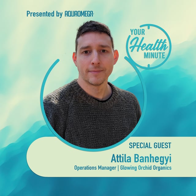 YHM 088 -  Plastic Perils: How Microplastics Disrupt Your Hormones and Ways to Cut Exposure image