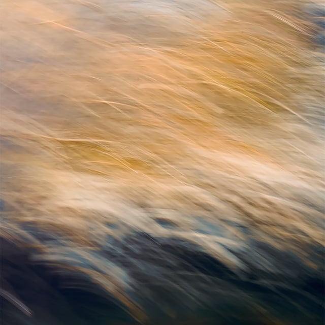 GENIUS OF NOTHING PODCAST 17  - Santosha (contentment) image