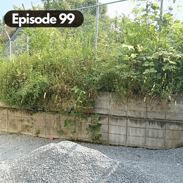 Dear Diary Series: Catching Up Before Our Japan Trip image
