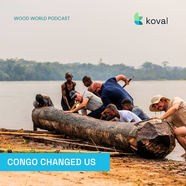 We went to a sawmill in the Congo w/ Vadim Kovalev and Glen Chapman Wood World Podcast image