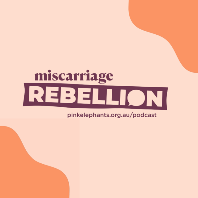 S2: E2: The Rural Divide: Miscarriage, Isolation, and the Fight for Safe Care image