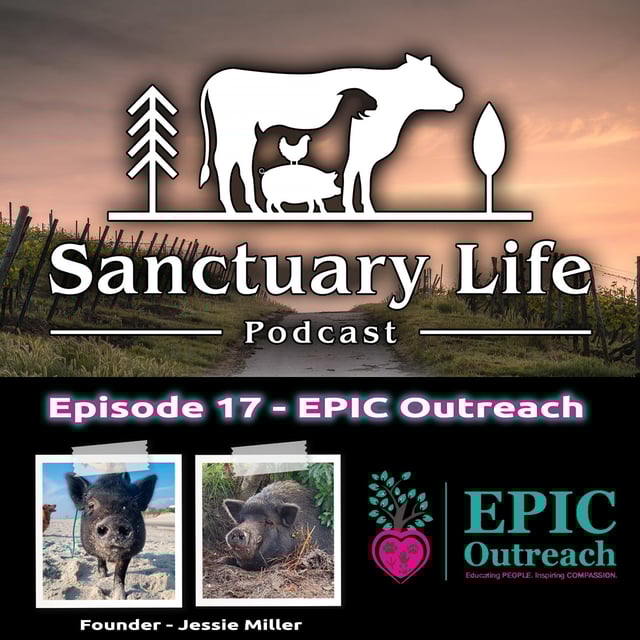 Episode 17 - EPIC Outreach image