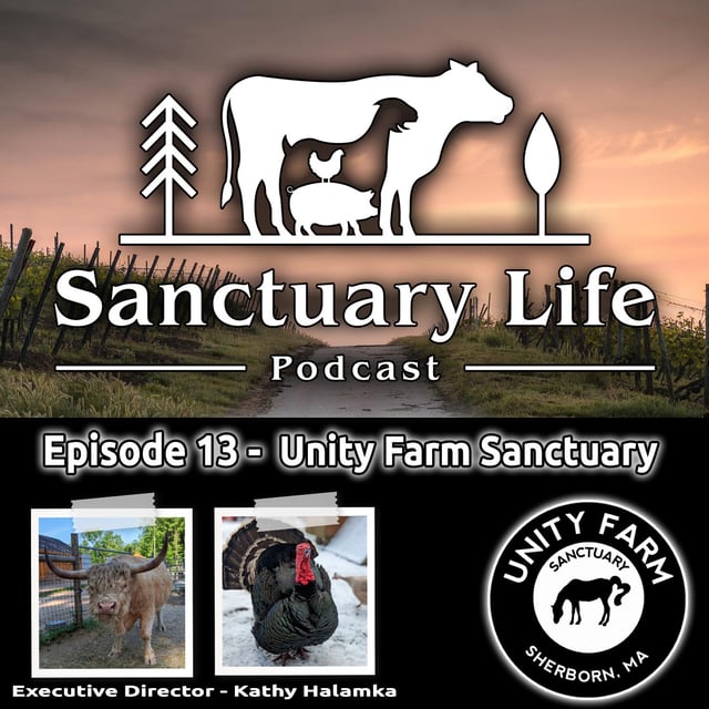 Episode 13 - Unity Farm Sanctuary image