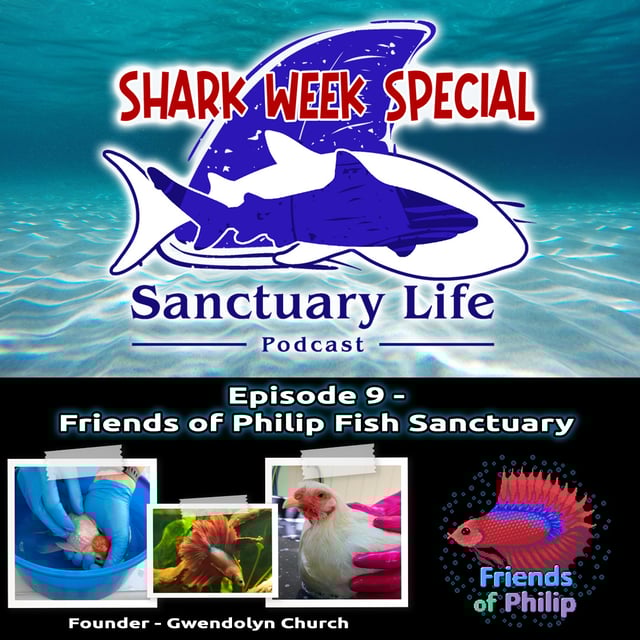 Episode 9 - Friends of Philip Fish Sanctuary image