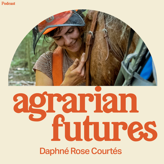 Modern Horse Logging with Daphné Rose Courtés image