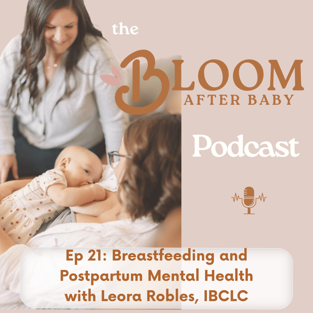 21. Breastfeeding & Postpartum Mental Health image