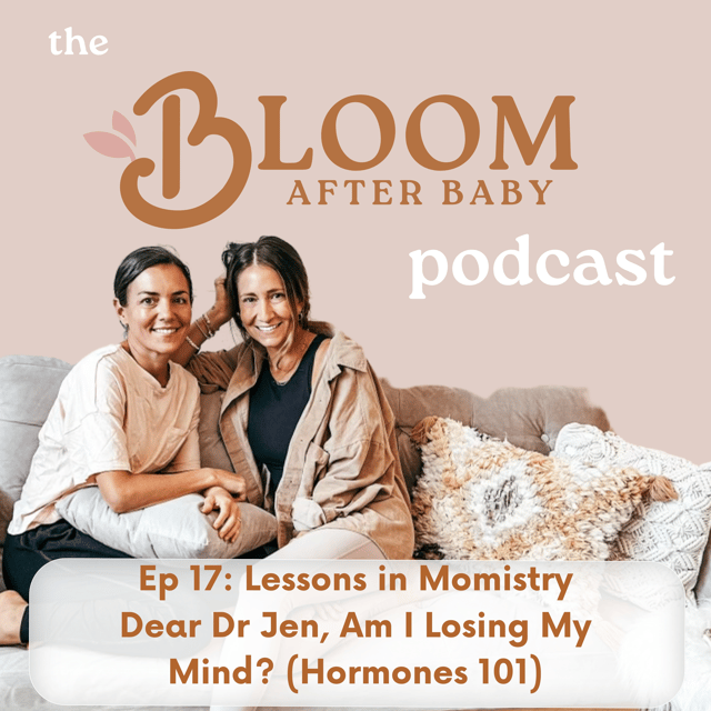 17. Lessons in Momistry: Dear Dr. Jen, Am I Losing My Mind?, with Jen & Rachel image