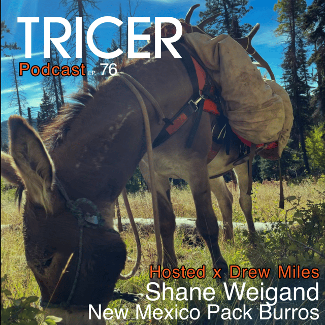 Have You Hunted With Pack Burros – Shane Weigand – New Mexico Pack Burros image