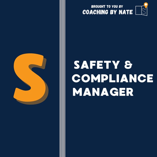 The Airline Safety Guardian (Not in the Air!) image