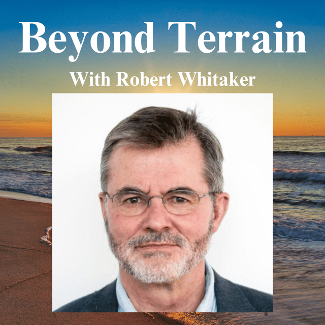 Robert Whitaker on the Myths of Neurochemical Imbalance, DSM Critiques, and the Environmental Impact on Mental Health image