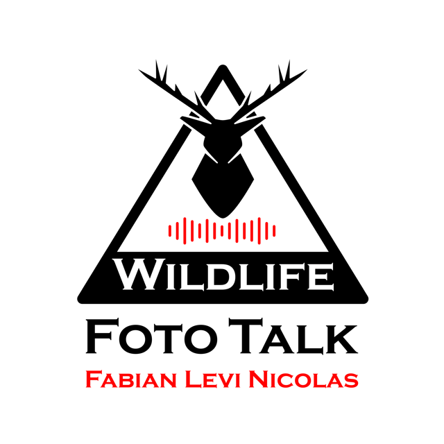 Libellen im Flug filmen & Neuankündigungen von Nikon & Canon image