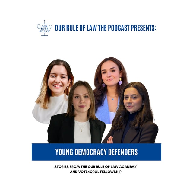 Young Democracy Defenders: Stories from Our Pan-European Projects  image