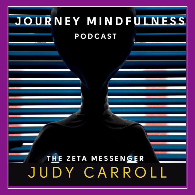 They Are Not What You Think: Judy Carroll on the True Nature of the Zetas image