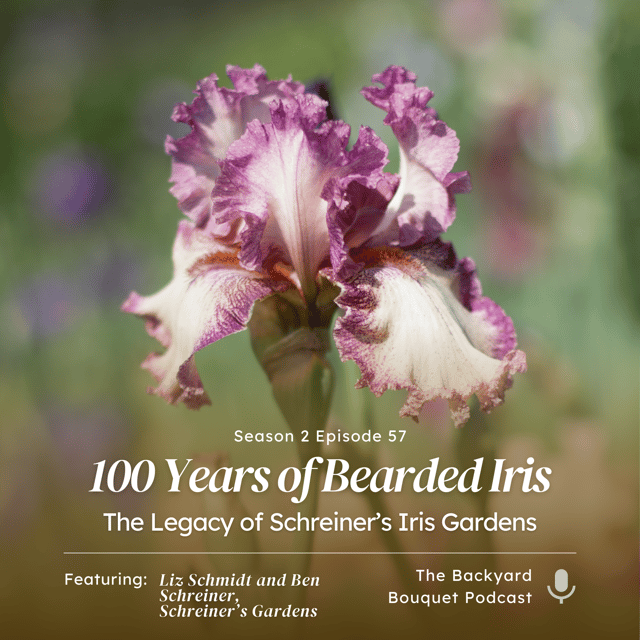 Ep.57: Celebrating 100 Years of Bearded Iris: The Legacy of Schreiner’s Iris Gardens image