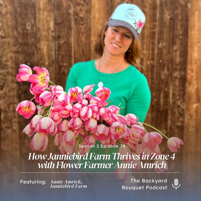 Episode 79: How Janniebird Farm Thrives in Zone 4 with Flower Farmer Annie Amrich image