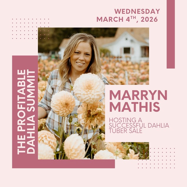 Summit Speaker Series: Marryn Mathis on Selling Out Your Dahlia Tuber Sale image