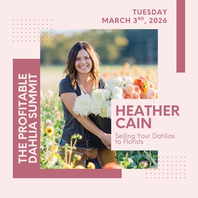 Summit Speaker Series: Heather Cain on Selling Dahlias to Florists image