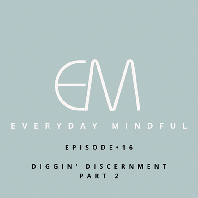 Diggin' Discernment Pt. 2 image