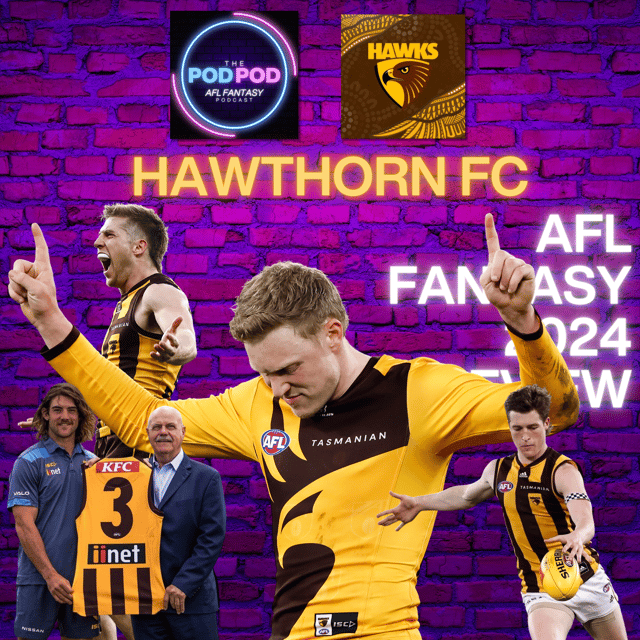 Hawthorn FC AFL Fantasy 2024 team preview | #PODPOD  image