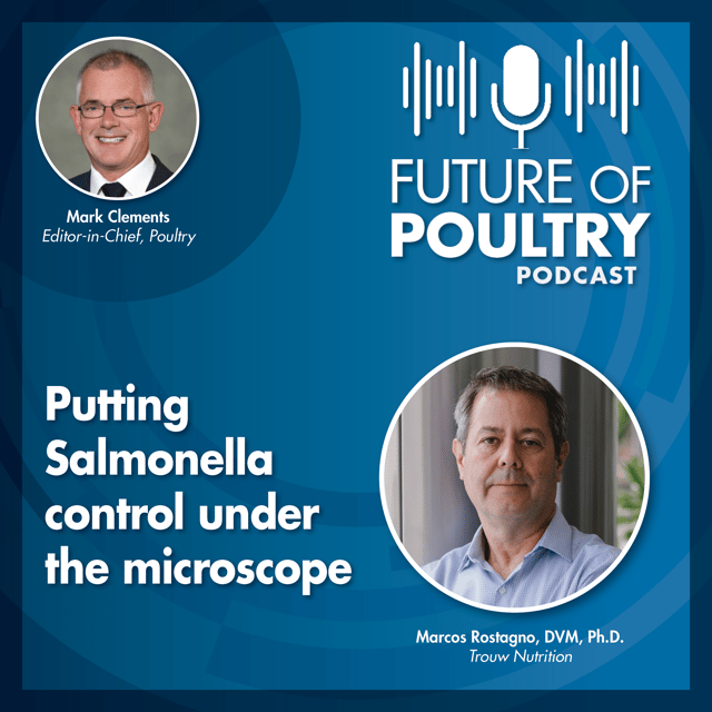 Putting Salmonella control under the microscope image