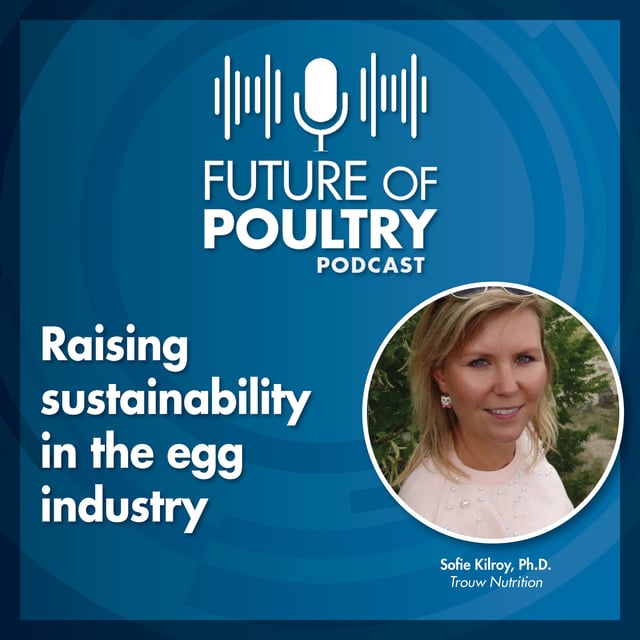 Raising sustainability in the egg industry image