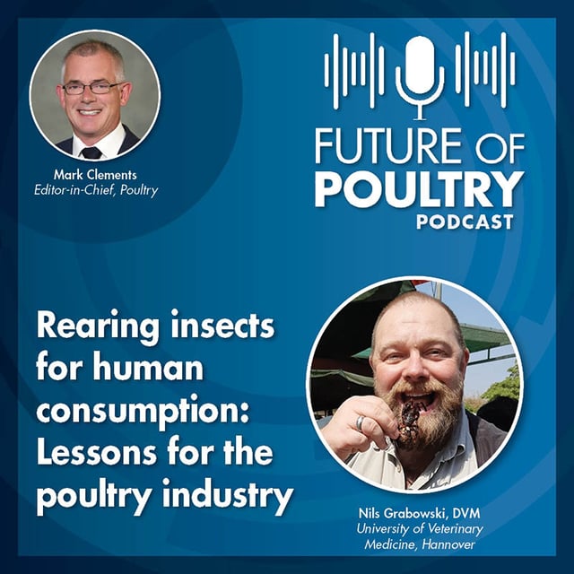 Rearing insects for human consumption: Lessons for the poultry industry image